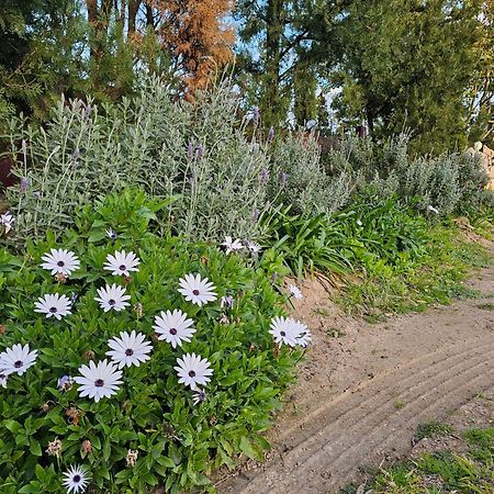 Gowrie Agapanthus Lägenhet Singleton Exteriör bild